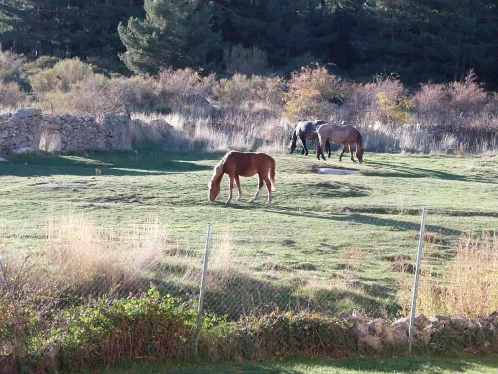 Casa Iona Chalet Adosado Con Vistas A La Montana Navarredonda de Gredos Ngoại thất bức ảnh